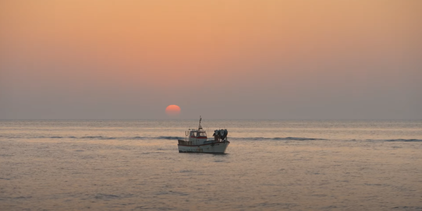 Confraria de Pescadors de Roses - El salitre a la vena 